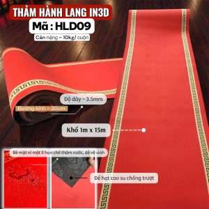Alternative view of Thảm đường dẫn, hành lang in 3D- D09